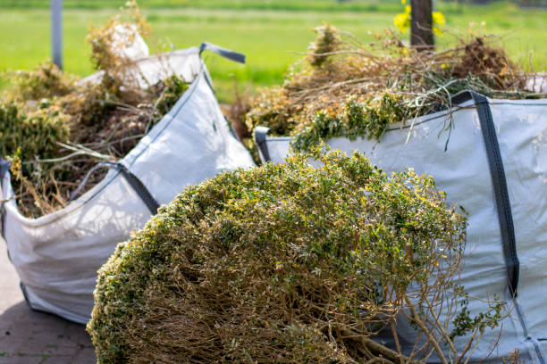 Best Mattress Removal Service  in Lake St Louis, MO